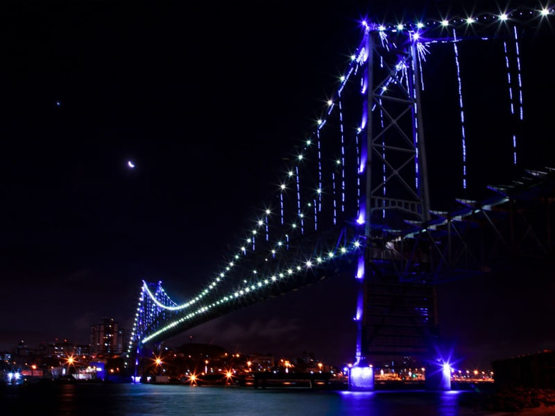 PONTE HERCÍLIO LUZ-01