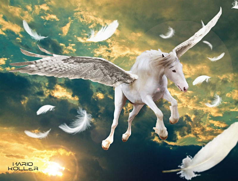 RIDE THE SKY