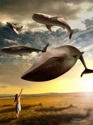 FLYING WHALES 2