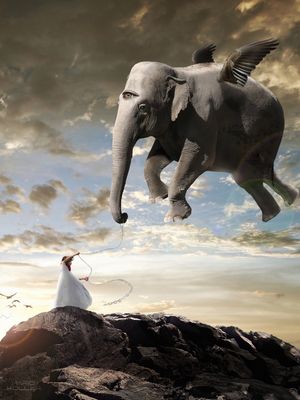 ELEPHANT BALLOON II