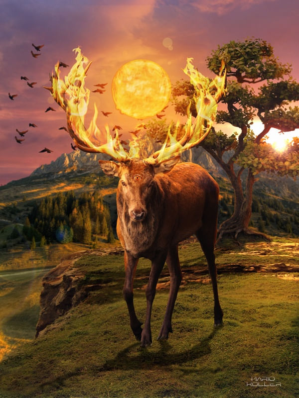 PATRONUM II