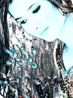 LOOK AT THE BLUE BUTTERFLIES