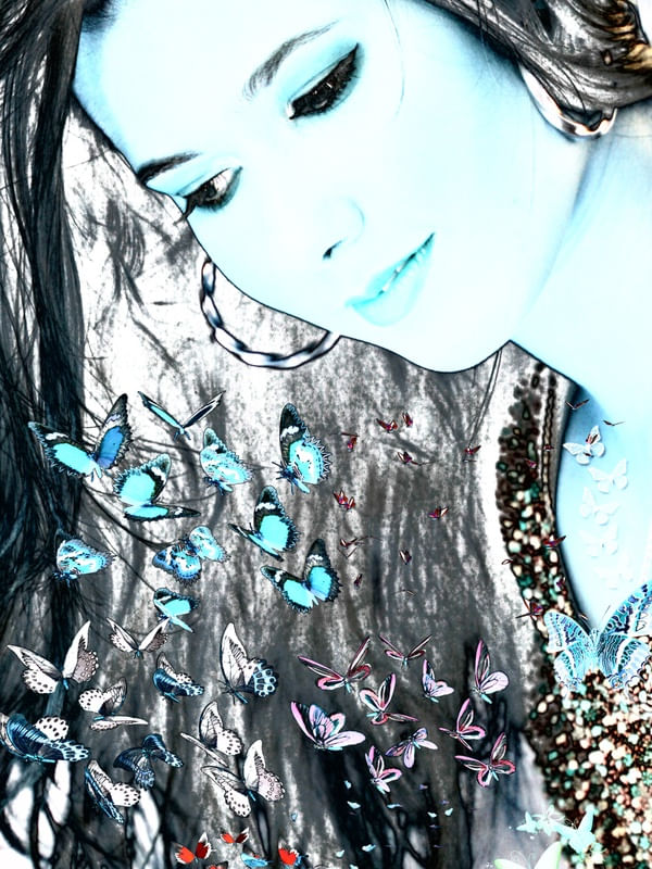 LOOK AT THE BLUE BUTTERFLIES