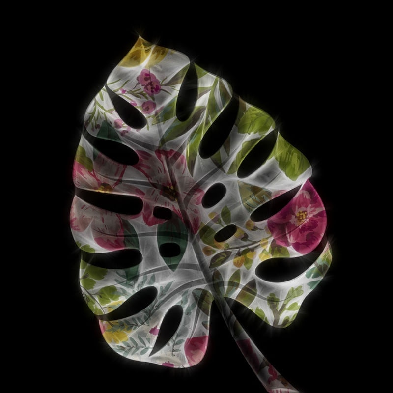COLORFUL TROPICAL IV