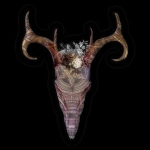 TRIBAL OX SKULL