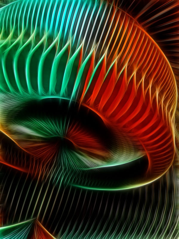 NON REAL FORMS