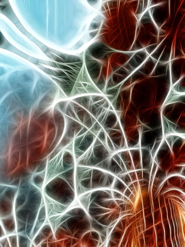 NON REAL FORMS VIII