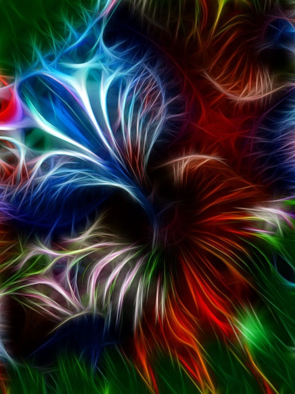 NON REAL FORMS X
