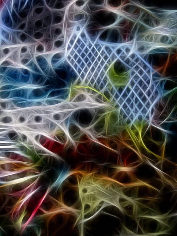 NON REAL FORMS XI