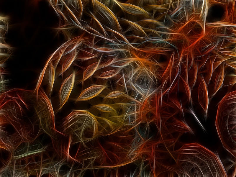 NON REAL FORMS XV
