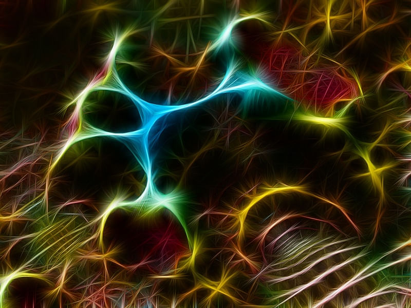 NON REAL FORMS XXI
