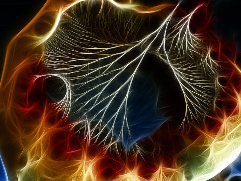 NON REAL FORMS XXII