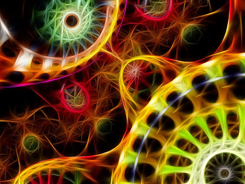 NON REAL FORMS XXIV