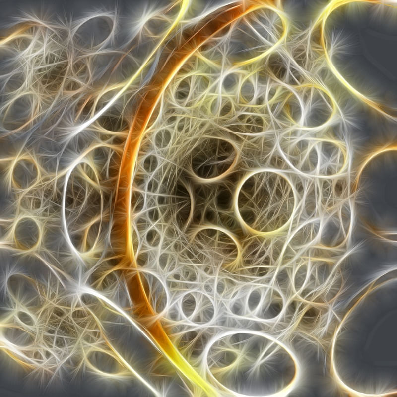 NON REAL FORMS XXV
