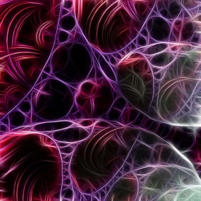 NON REAL FORMS XXVI
