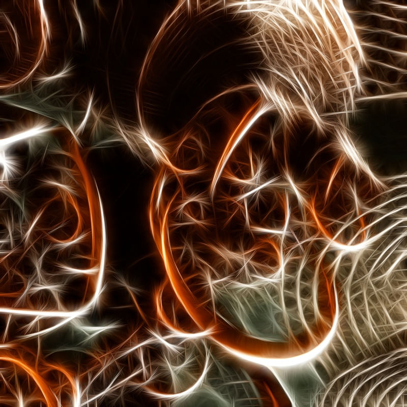 NON REAL FORMS XXX