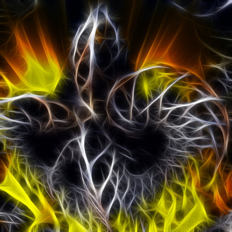 NON REAL FORMS XXXI