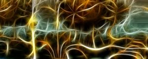 NON REAL FORMS XLVI