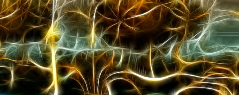 NON REAL FORMS XLVI