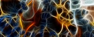 NON REAL FORMS XLVIII