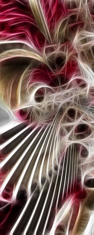NON REAL FORMS XLIX
