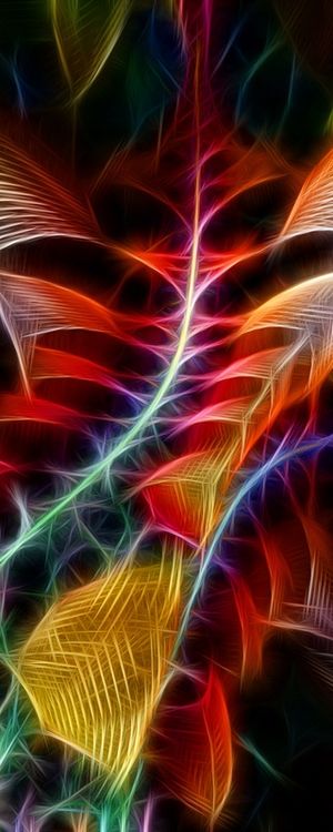 NON REAL FORMS LI
