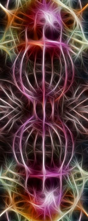 NON REAL FORMS LII