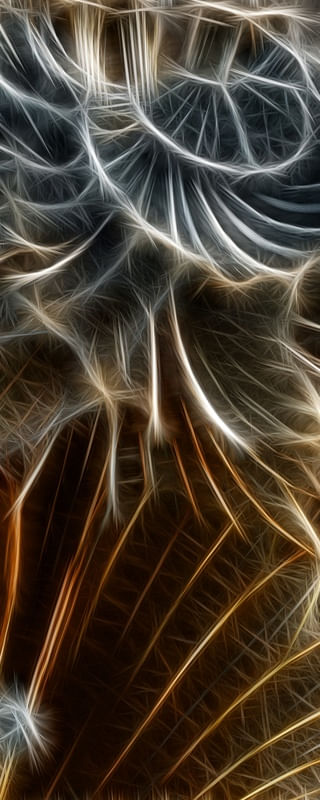 NON REAL FORMS LIII