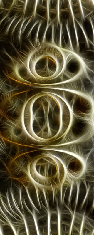 NON REAL FORMS LIV