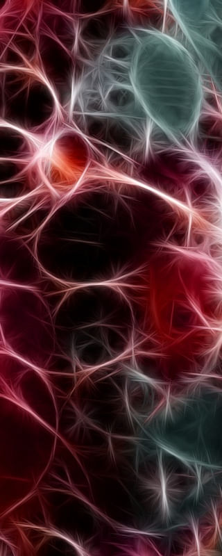 NON REAL FORMS LVI
