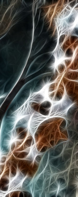 NON REAL FORMS LVII