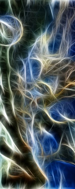 NON REAL FORMS LVIII