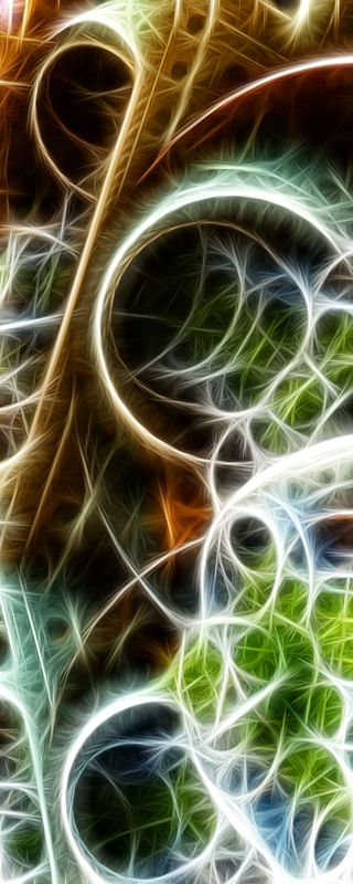 NON REAL FORMS LX