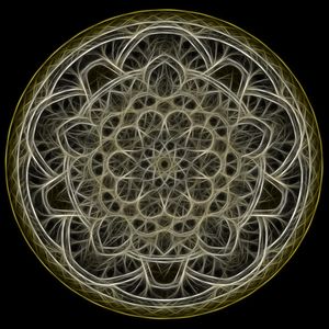 LIVE WHEEL