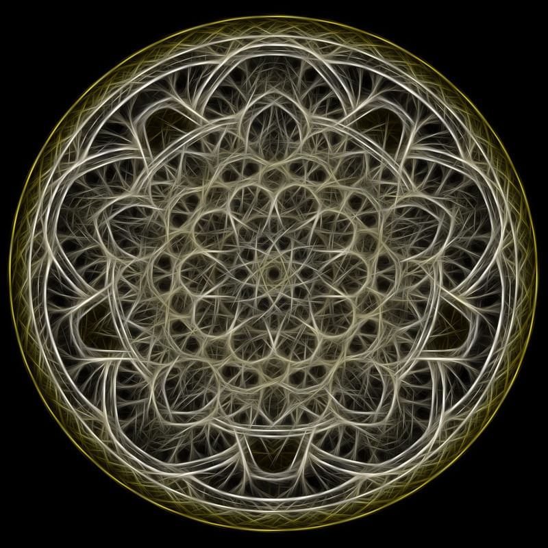 LIVE WHEEL