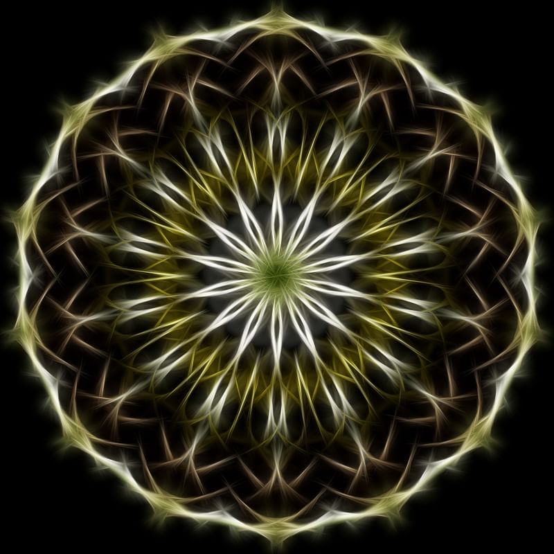 RENEWAL