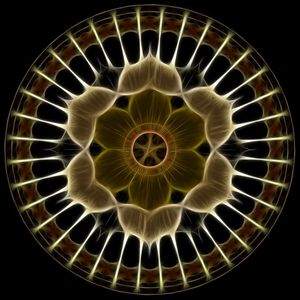 MAGNETIC FLOWER
