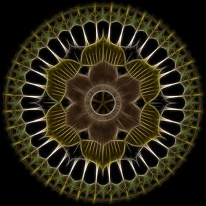 MAGNETIC FLOWER II