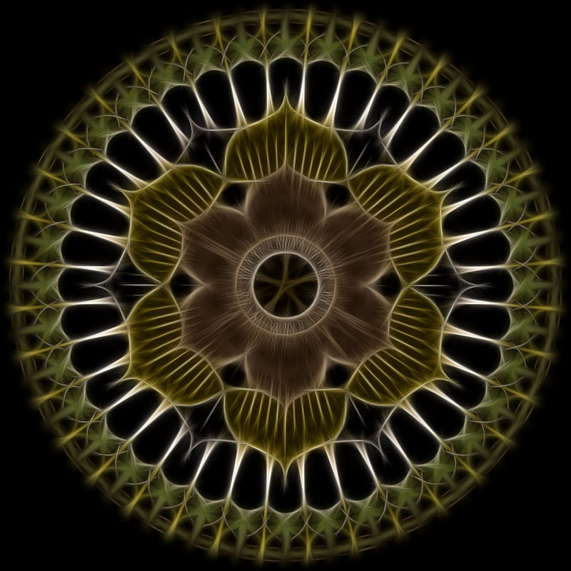 MAGNETIC FLOWER II