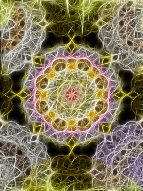 THE ENERGY OF THE UNIVERSE IV
