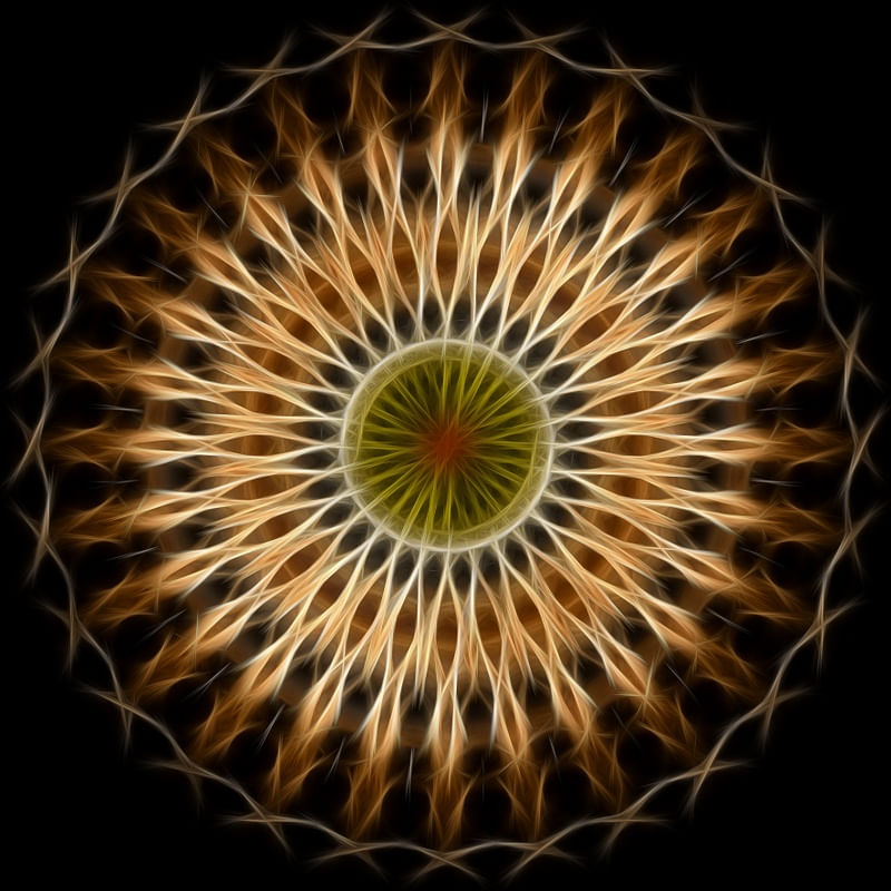 SPIRIT OF HARP