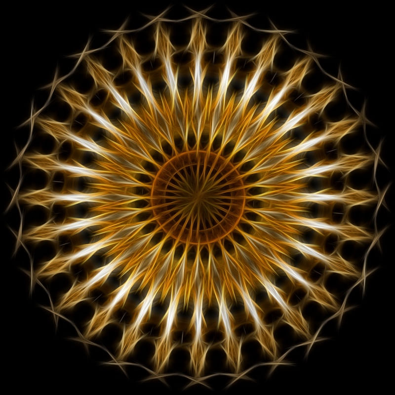 SPIRIT OF HARP II