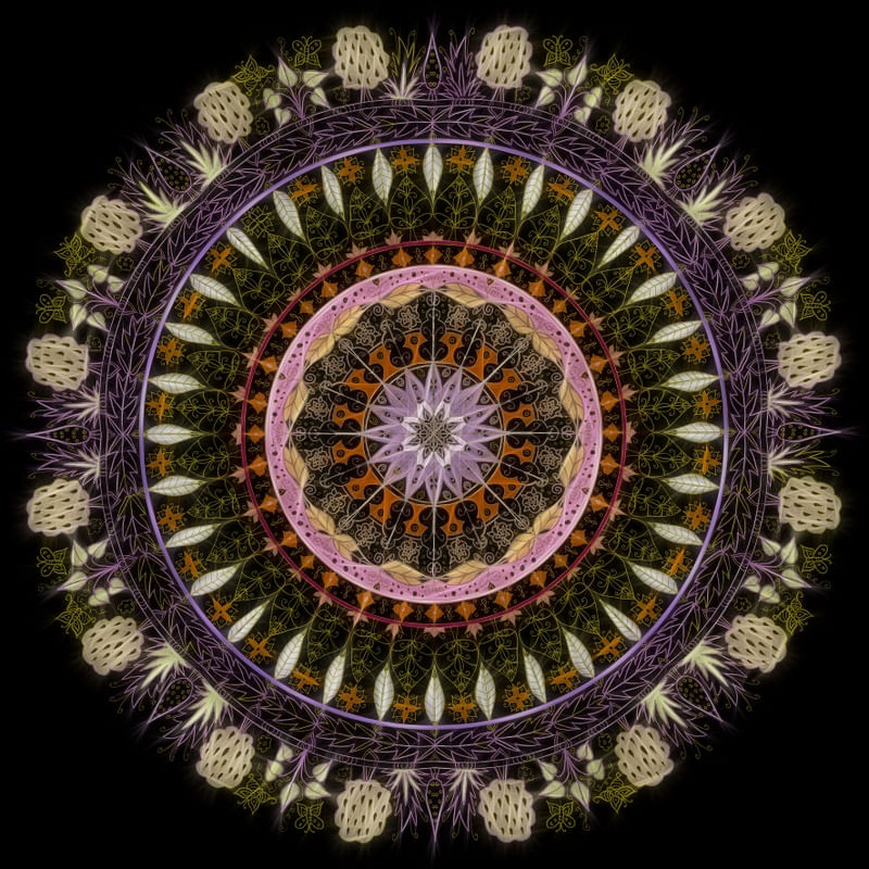 MAGNIFICENCE II