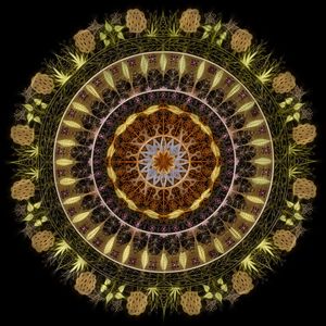 MAGNIFICENCE III