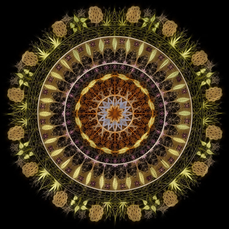 MAGNIFICENCE III