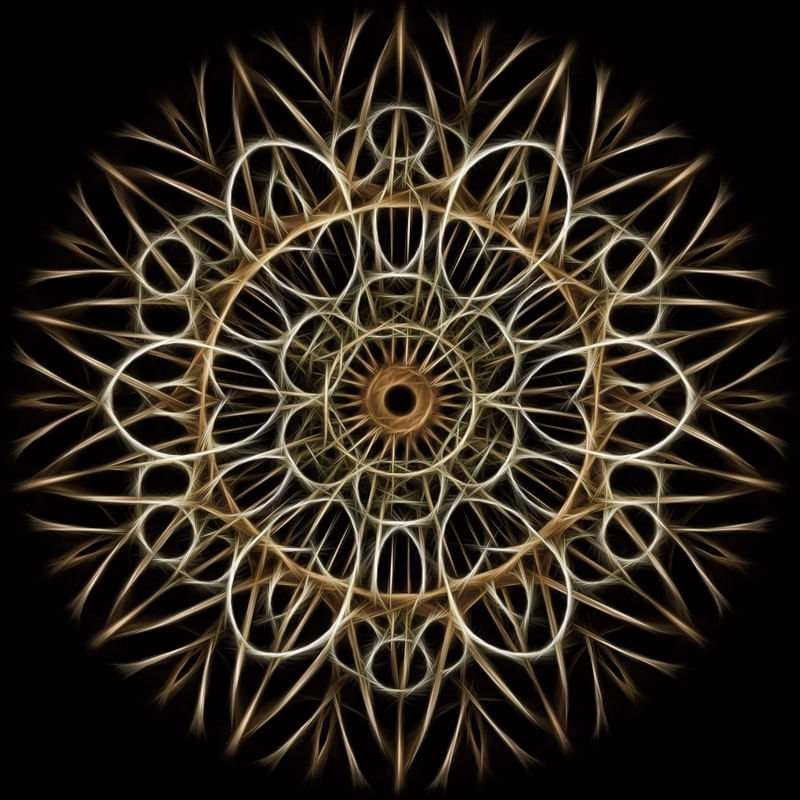SEGMENTS