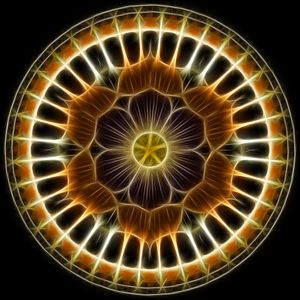 MAGNETIC FLOWER III