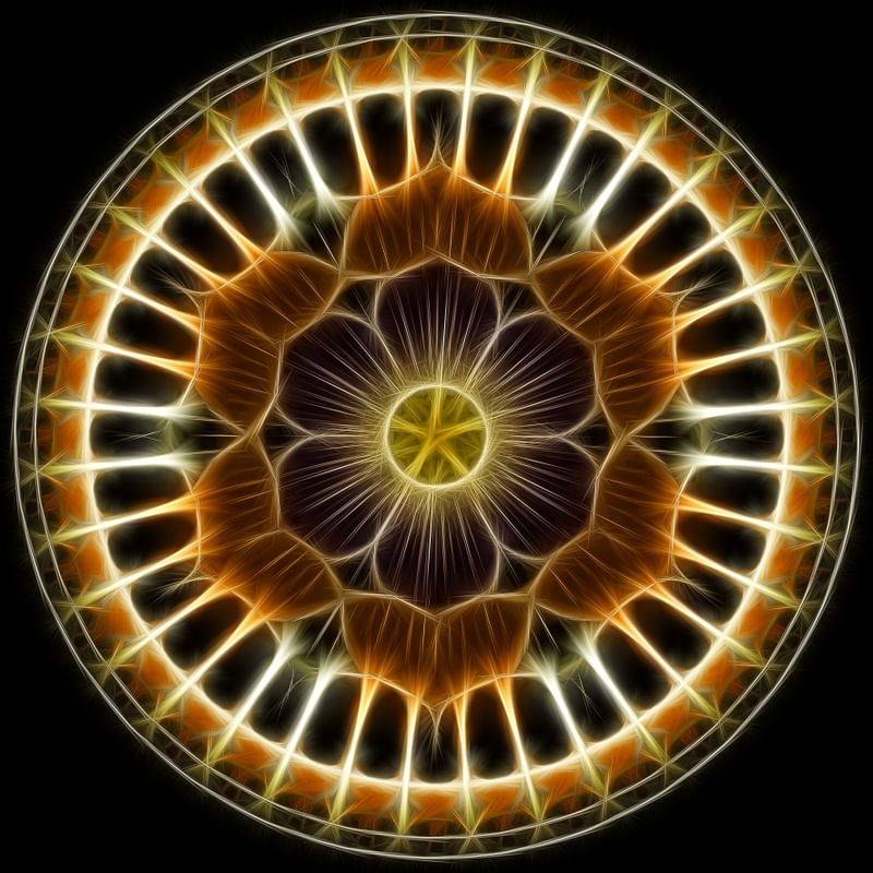 MAGNETIC FLOWER III