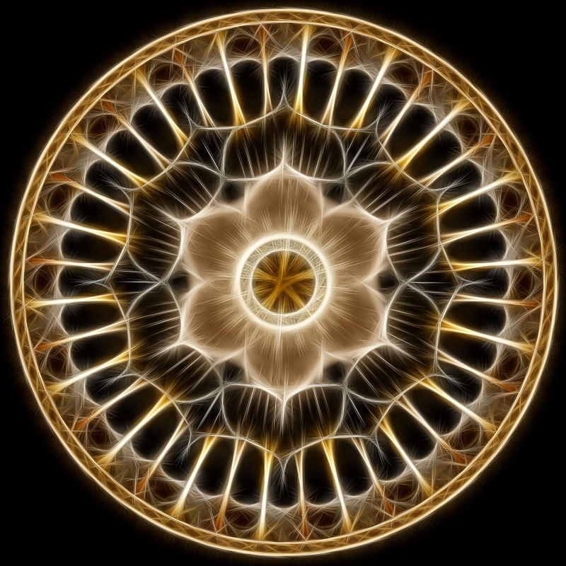 MAGNETIC FLOWER IV