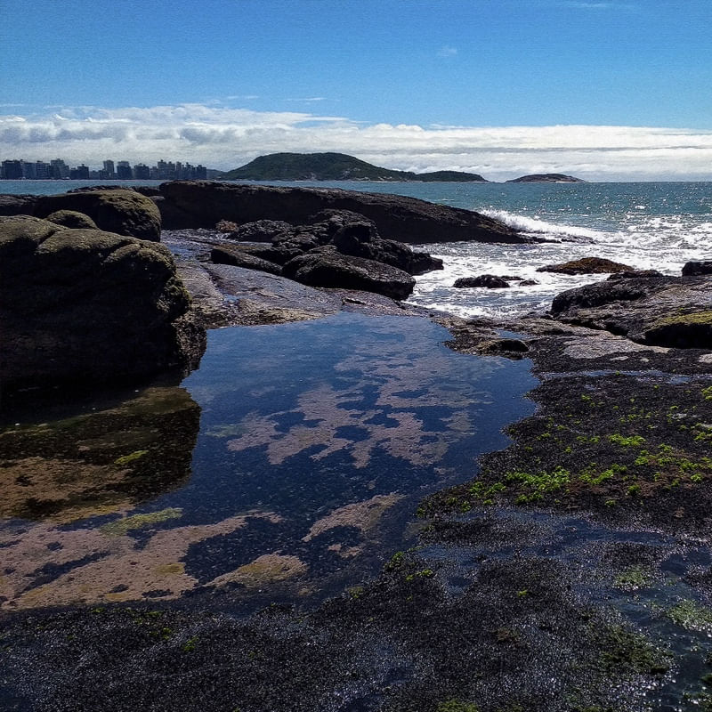 #NATUREZA104